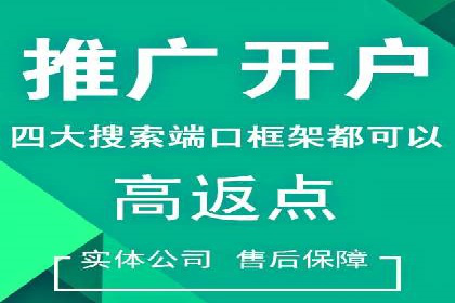 搜索引擎营销（SEM）的经典案例分析
